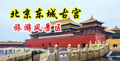 非洲大黑屌与日本女群交中国北京-东城古宫旅游风景区